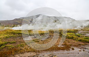 Haukadalur Valley in Iceland