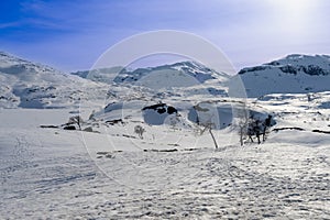 Haukelifjell is a mountain area and a mountain pass in South Norway., Scandinavia