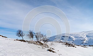 Haukelifjell is a mountain area and a mountain pass in South Norway., Scandinavia