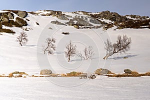 Haukelifjell is a mountain area and a mountain pass in South Norway., Scandinavia