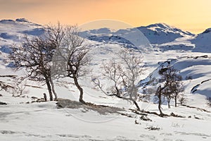 Haukelifjell is a mountain area and a mountain pass in South Norway., Scandinavia