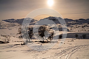 Haukelifjell is a mountain area and a mountain pass in South Norway., Scandinavia