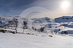 Haukelifjell is a mountain area and a mountain pass in South Norway., Scandinavia