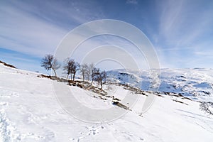 Haukelifjell is a mountain area and a mountain pass in South Norway., Scandinavia