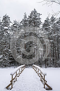 Haukkalampi pond view in winter, snowy trees and wooden bridge, Nuuksio National Park