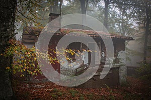 Haunted abandoned house in the autumn forest with fog