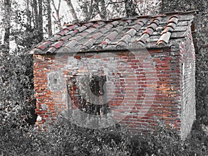 Haunted horror house. Old haunted house in the woods with evil spirits