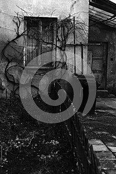 Haunted house with fence and scary windows.