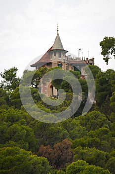 Haunted tower in a pine tree forest.