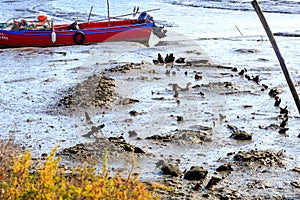 Haunting outline of wrecked fishing boat emerges during low tide in Portugal photo