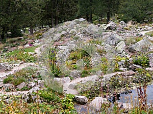 The Haut Chitelet garden on the route des crÃªtes in the French Vosges.