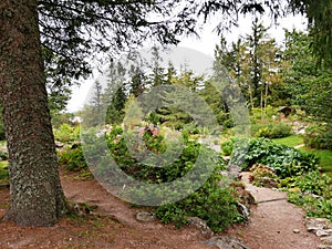 The Haut Chitelet garden on the route des crÃªtes in the French Vosges.