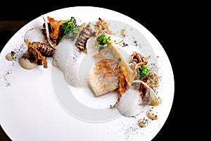 Haute cuisine, white fish fillet