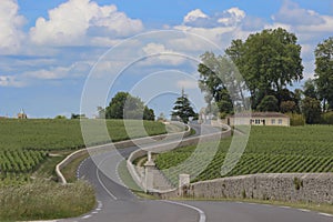 Haute Medoc road through the vines