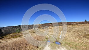 Hautes chaumes, col des supeyres, auvergne, france