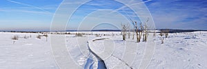 Hautes Fagnes in Belgium in winter on a clear day