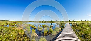 Hautes Fagnes Hohes Venn panorama