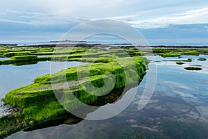 Hauxley Beach, Northumberland.