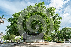 HAVANA, CUBA - OCTOBER 22, 2017: Havana Cityscape with Park and Ceiba, Tree of American Fraternity