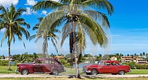 American red brown vintage cars parked under blue sky near the beach in Havana Cuba - Serie Cuba