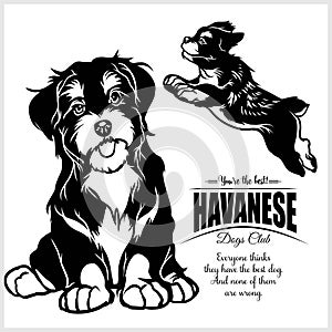 Havanese - vector illustration for t-shirt, logo and template badges