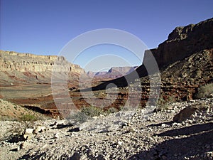 Havasu Canyon 1