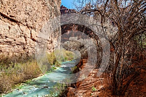 Havasu Creek in Supai, Arizona