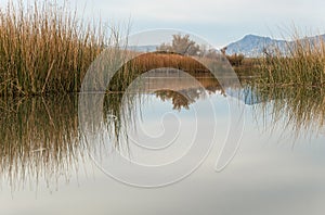 Havasu National Wildlife Refuge photo