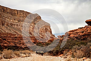 Havasupai Trail near Supai Arixona