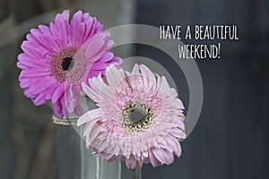 Have a beautiful weekend. Happy weekend card and greeting concept with two pink gerber flowers blossom on light dark background