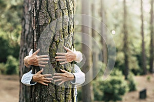 Have care about planet earth and earth`s day concept - couple of adult people hugging a tree in the wood with love and respect fo