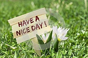 Have a nice day