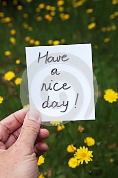 Have a nice day