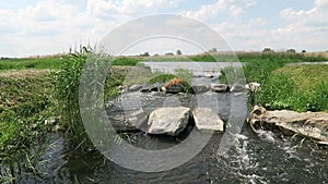 Havel river in summer. historical needle weir. Havelland (Brandenburg, Germany). fish