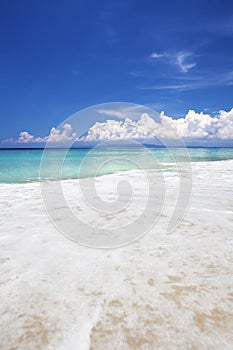 Havelock Island paradise ocean. photo