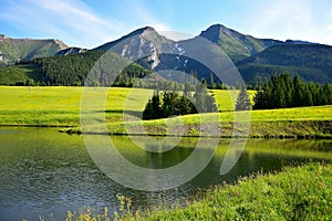 Havran and Zdiarska vidla, the two highest mountains in the Belianske Tatry. A pond and a flowery meadow in front. Slovakia