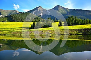 Havran and Zdiarska vidla, the two highest mountains in the Belianske Tatry. A pond and a flowery meadow in front. Slovakia