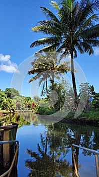 HAWAI Kauai paradise nature landscape beautiful scene