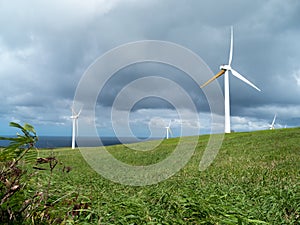 Hawai Renewable Development Wind farm