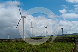 Hawai Renewable Development Wind farm photo