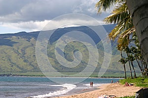 HAWAII BEACH CALLED SUGAR BEACH located in Kihei, Maui