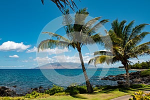 Hawaii beach, hawaiian ocean, aloha maui island. Tropical beach panorama.