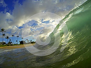 Hawaii Beach Waves