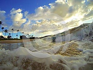 Hawaii Beach Waves