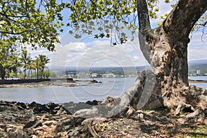 Hawaii Big Island view, Hilo area