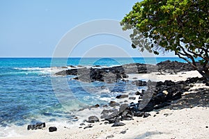 Hawaii coast