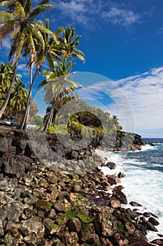 Hawaii coast