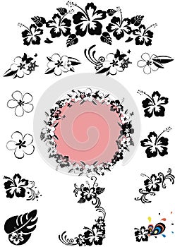 Hawaii floral design black 'n white