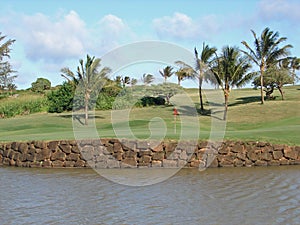 Hawaii golf green