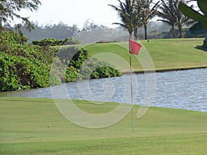 Hawaii golf green
